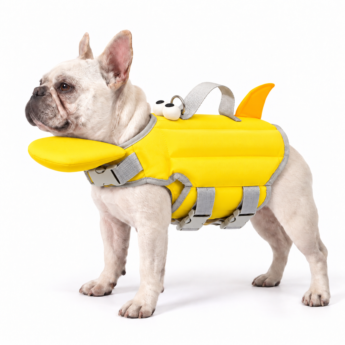 Pet Life Jacket