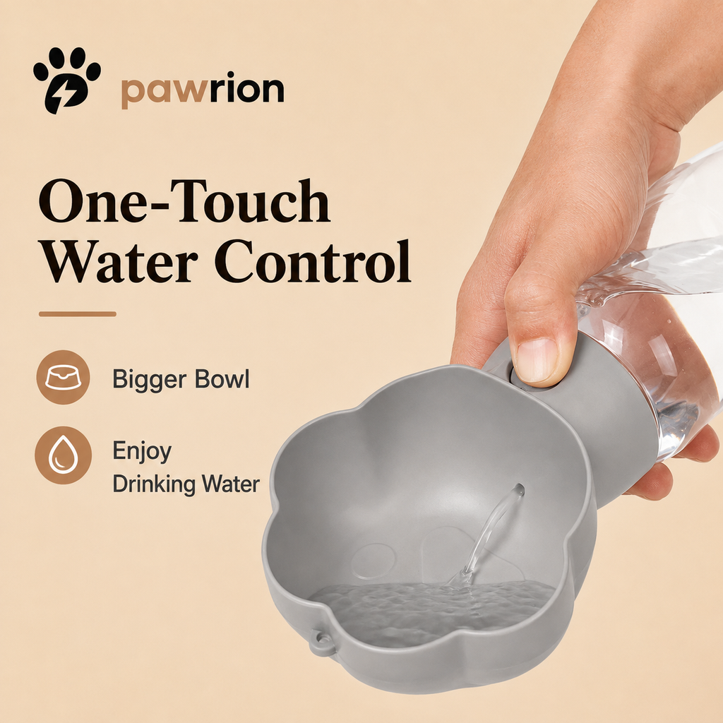 Drinking Bottle Food and Water Container