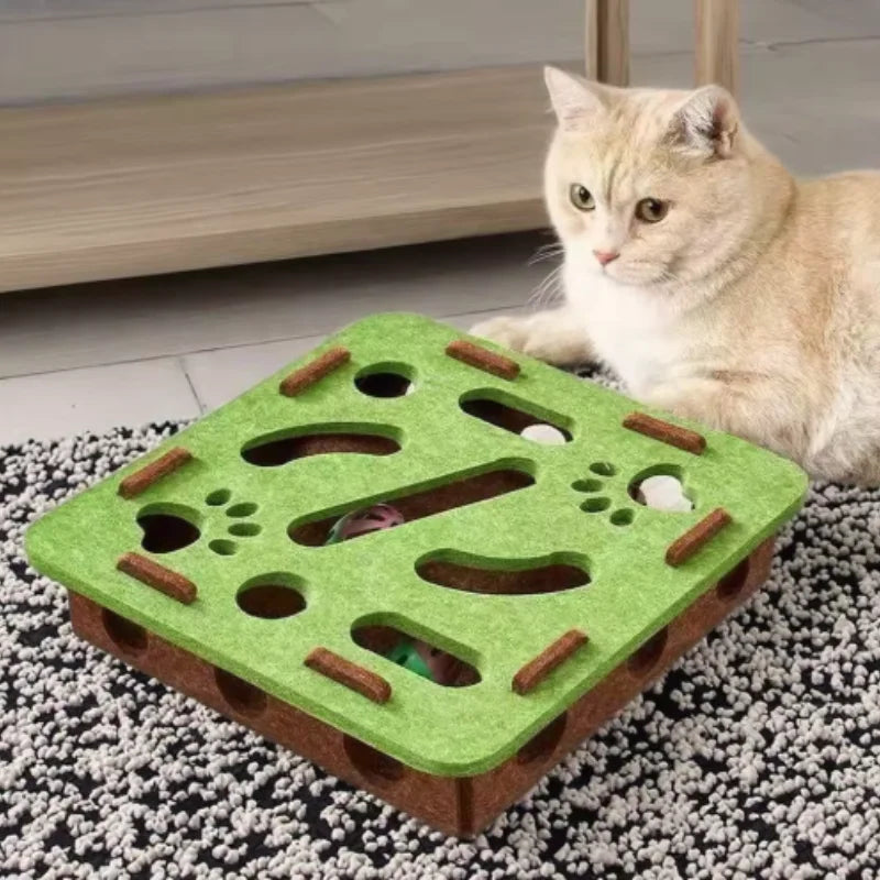 Cat Puzzle Maze