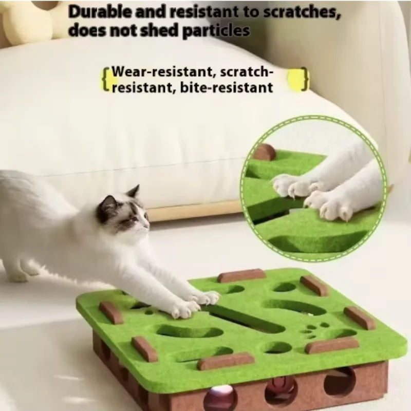 Cat Puzzle Maze