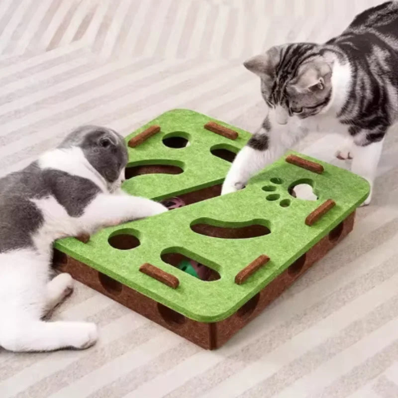 Cat Puzzle Maze