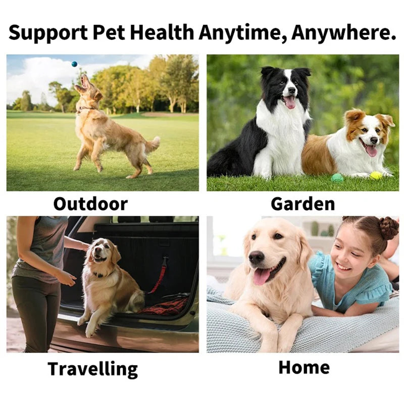 Pet finger toothbrush
