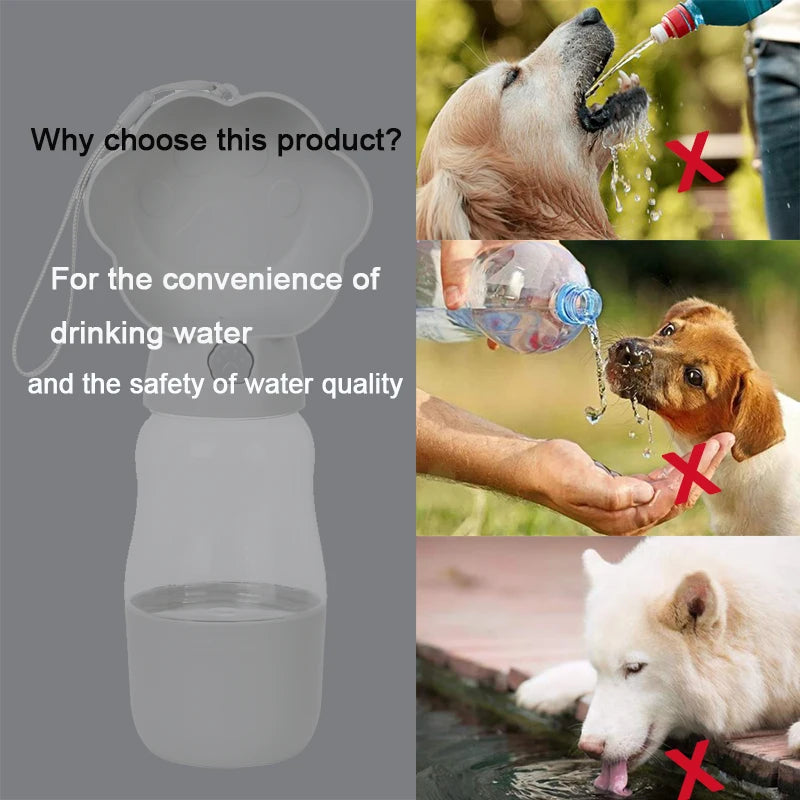 Drinking Bottle Food and Water Container