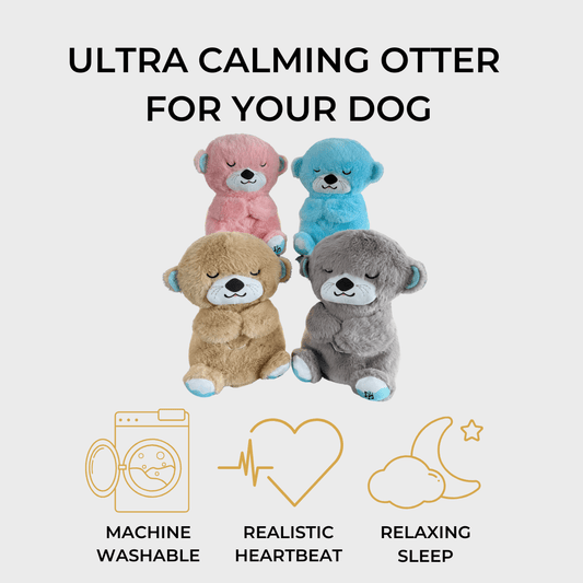 Image showing features of the Calming Otter dog toy, including heartbeat function and soft, plush design to ease dog separation anxiety.