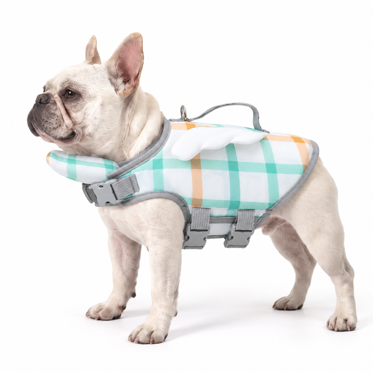 Pet Life Jacket