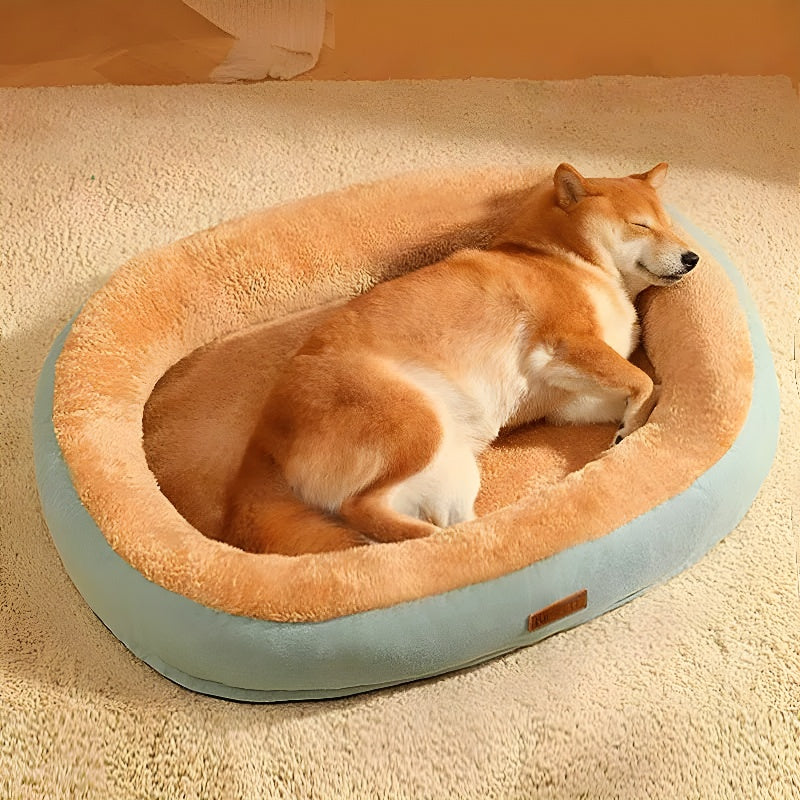 Above angle of a relaxed dog resting on a light green Anxiety-Free Dog Bed, designed to provide comfort and help relieve separation anxiety.