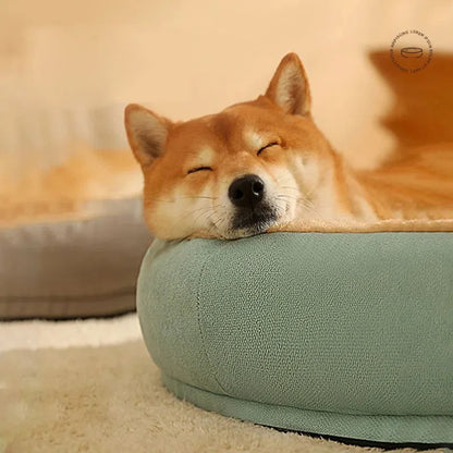 Close-up of a dog's relaxed face resting on a light green Anxiety-Free Dog Bed, designed to relieve separation anxiety and provide soothing comfort.