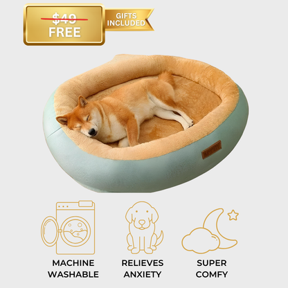 Light green Anxiety-Free Dog Bed with a dog resting comfortably, designed to relieve separation anxiety, featuring calming qualities and a gift included with purchase.