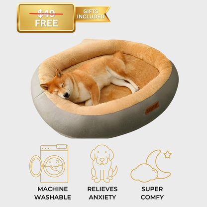 Light grey Anxiety-Free Dog Bed with a dog resting comfortably, designed to relieve separation anxiety, featuring calming qualities and a gift included with purchase.