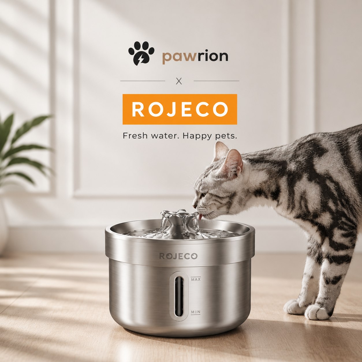 Smart Pet Water Fountain